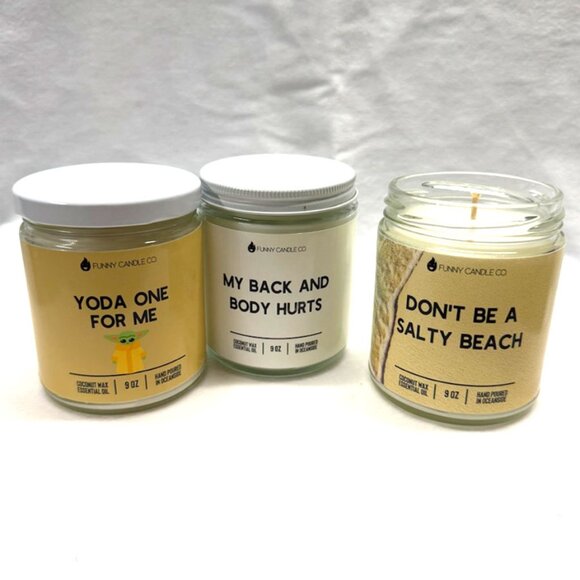 ⭐️NEW⭐️Set of 3 / Funny Candle Co. Coconut Wax 9oz Candles - Picture 1 of 5